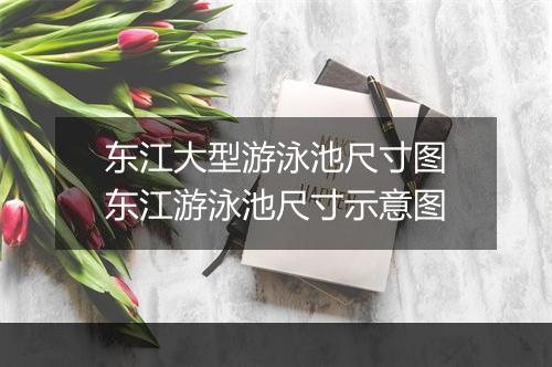 东江大型游泳池尺寸图　东江游泳池尺寸示意图